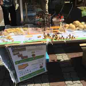 第30回春のみどりと花のまつり出品の様子