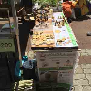 第30回春のみどりと花のまつりに出品