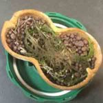 ひょうたんとハイドロコーンとウィローモス