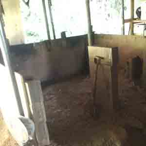 竹炭窯の壁撤去前