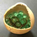 ひょうたん, 吸水ゲル