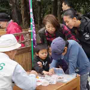 どんぐりの爪, ネールアート, ボランティア