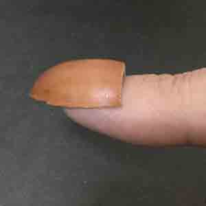 どんぐりの爪（貼り付けタイプ）