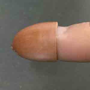 どんぐりの爪（キャップタイプ）