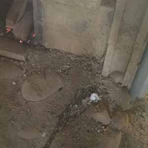 ボランティア, 竹炭