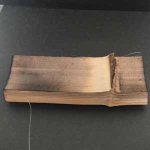 焼き竹材, 裏面, 素地